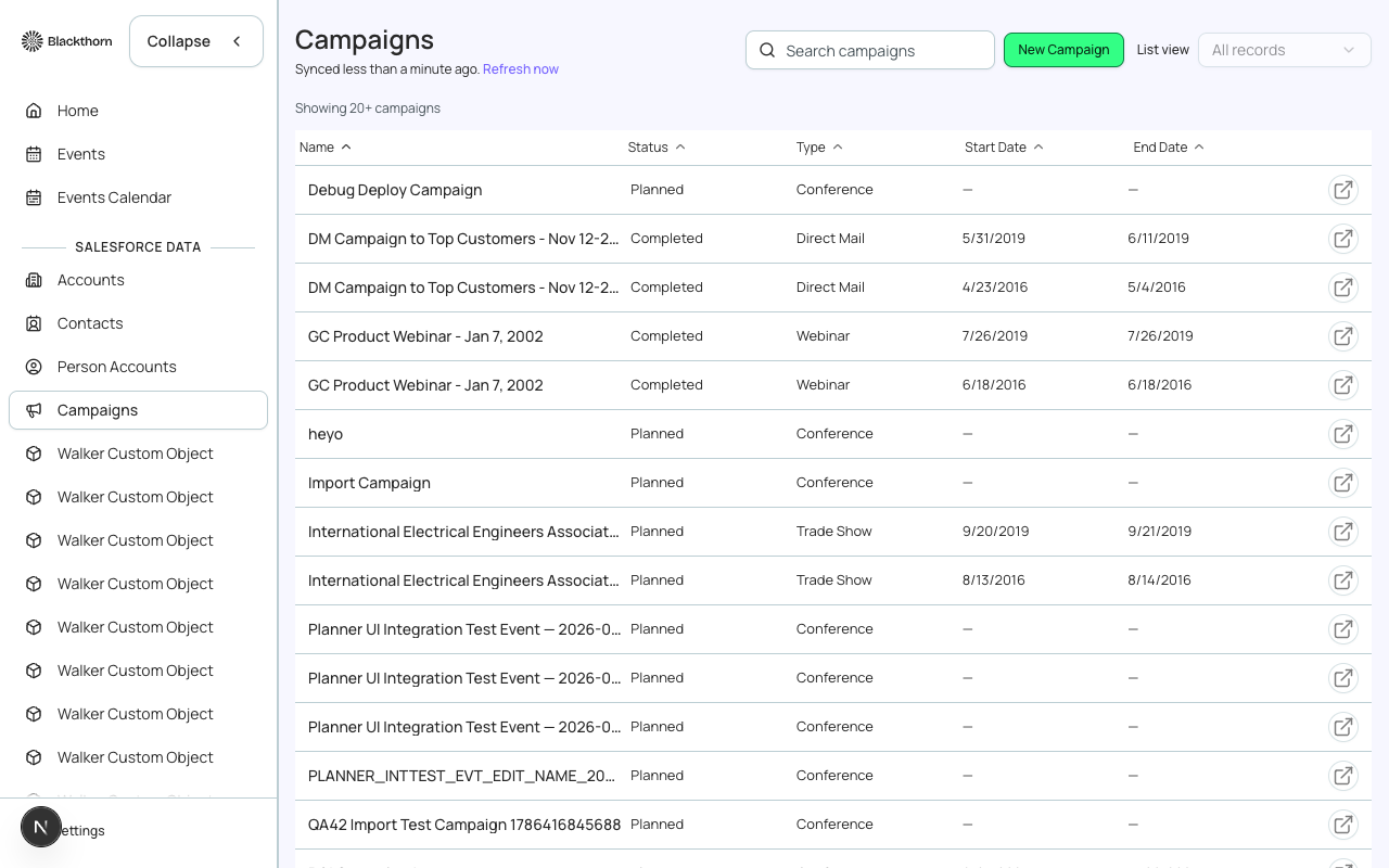 The Campaigns list, showing real Salesforce Campaign records.
