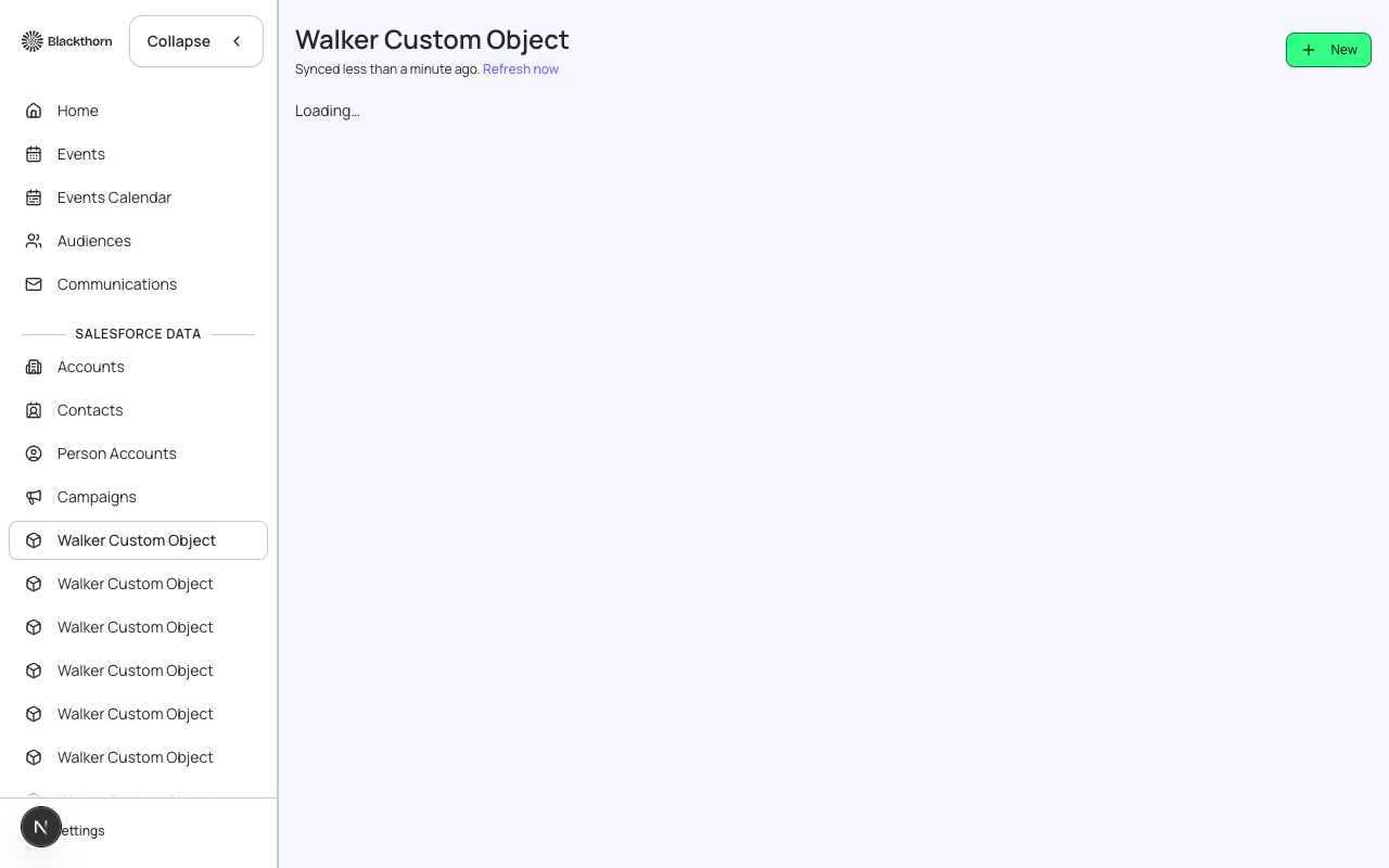 The sidebar's Salesforce Data section, showing a custom object added as a navigation link.